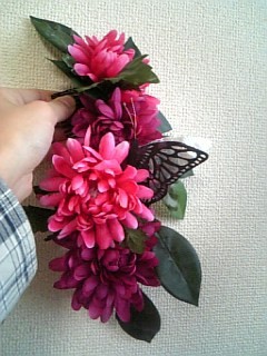 菊の花に埋もれて