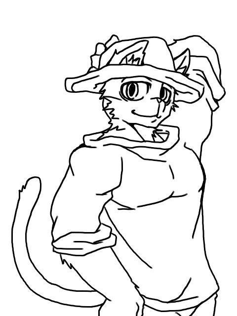 帽子猫