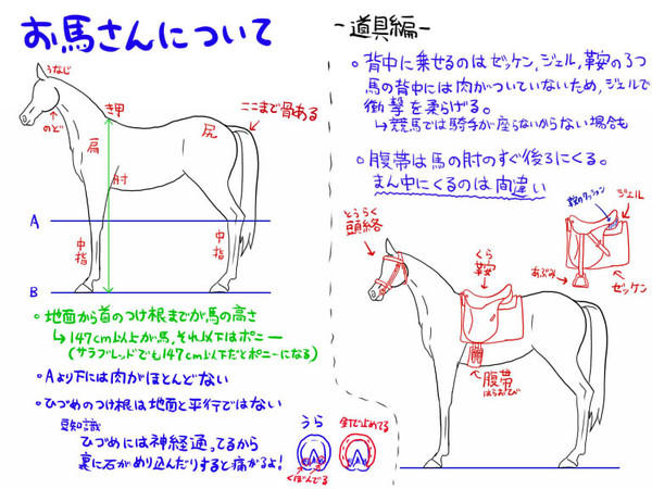 馬と馬の道具について