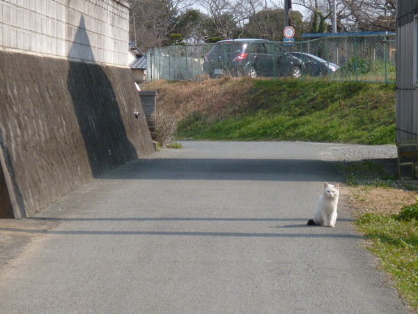 ちょこん