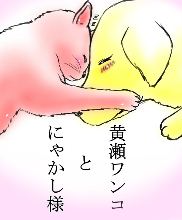 黄赤ってこういうことでいいんですね///