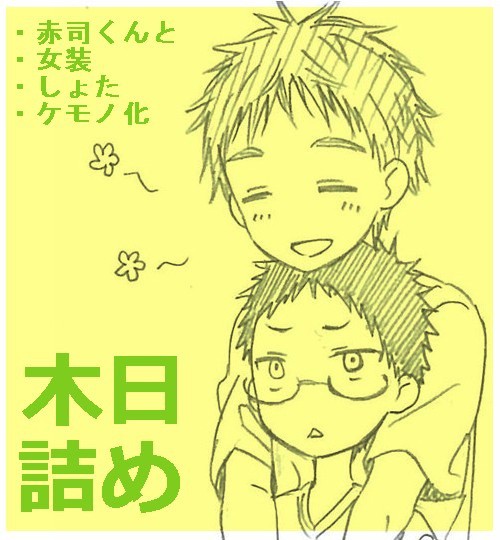 【黒バス】色々つめすぎた【木日】