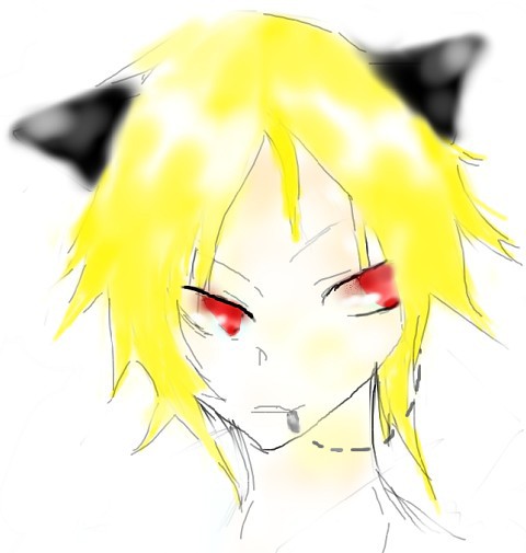96猫さん！