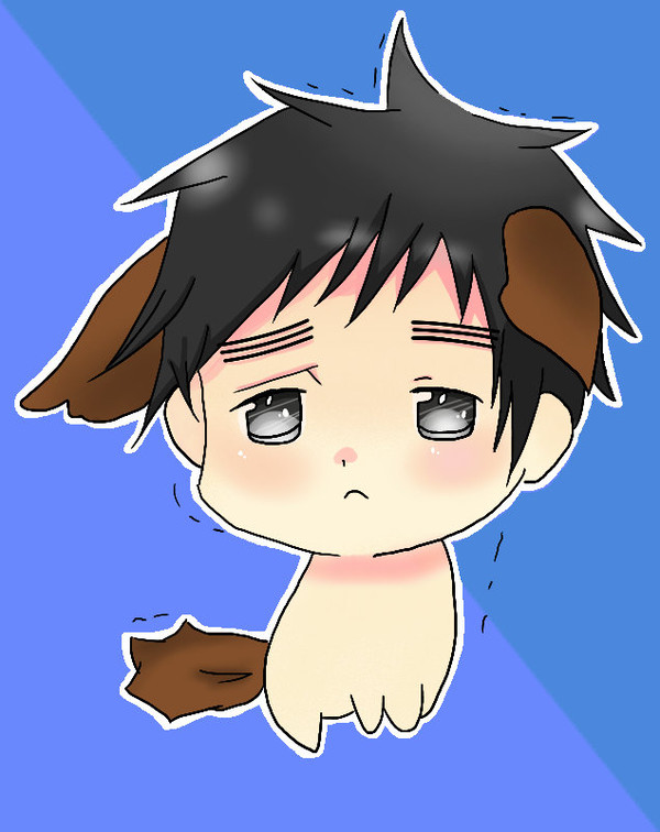 まゆげ犬