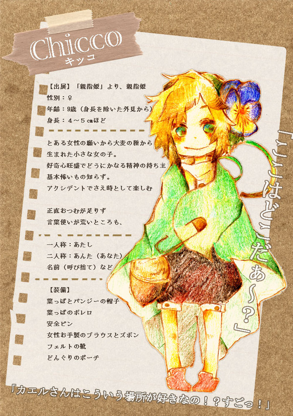【絵師童】キッコ【キャラシ】