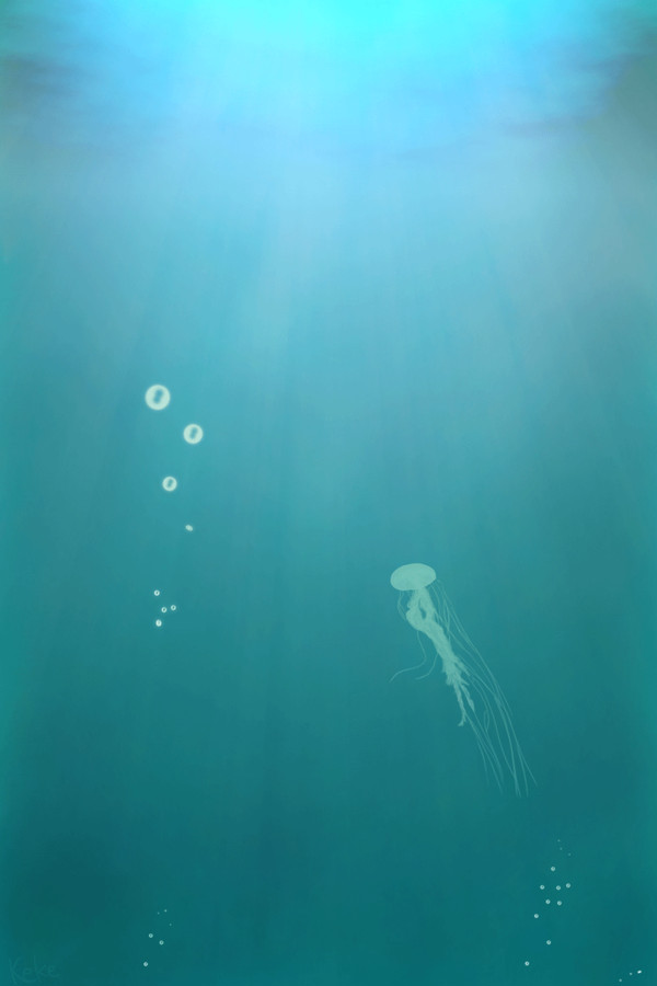 海月の話