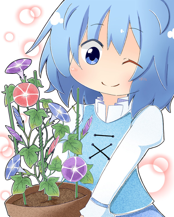 傘の花