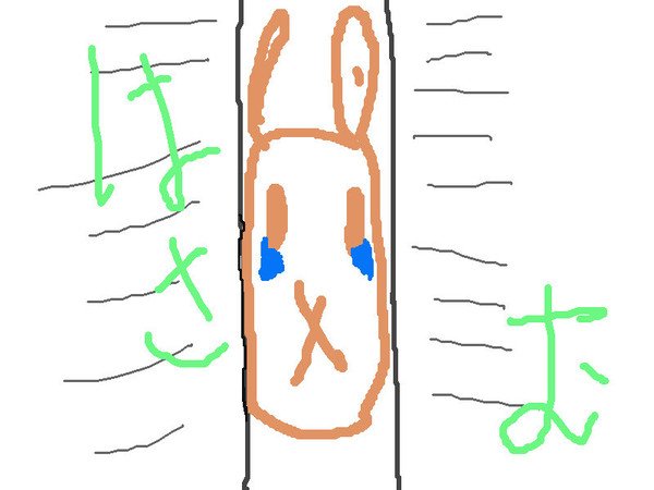 はさむ