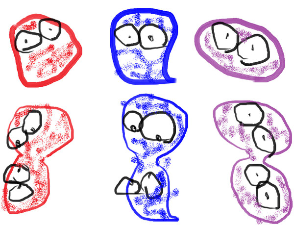 ぷよぷよ