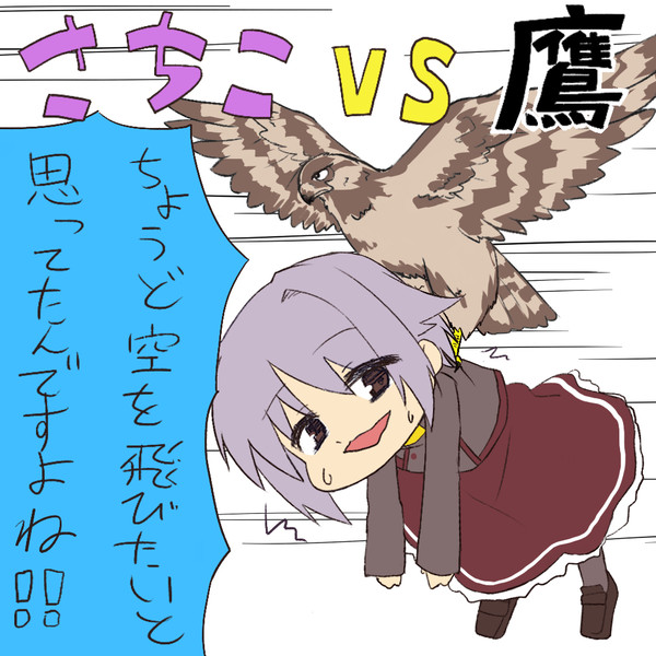 さちこvs鷹