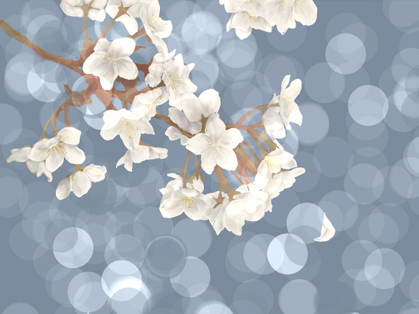 【花】