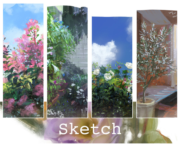 Sketch
