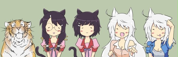 猫物語　(=‘ｘ‘=)