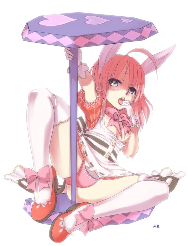 ミニードゥ