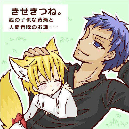 【腐・パロ注意】きせきつね。【黒子のバスケ】