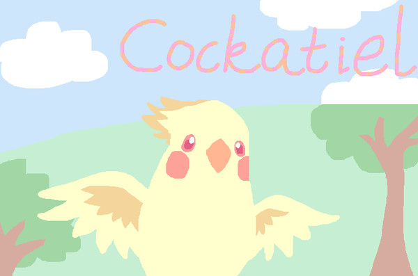 オカメインコ~☆