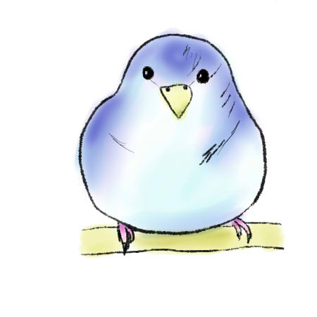 サザナミインコ