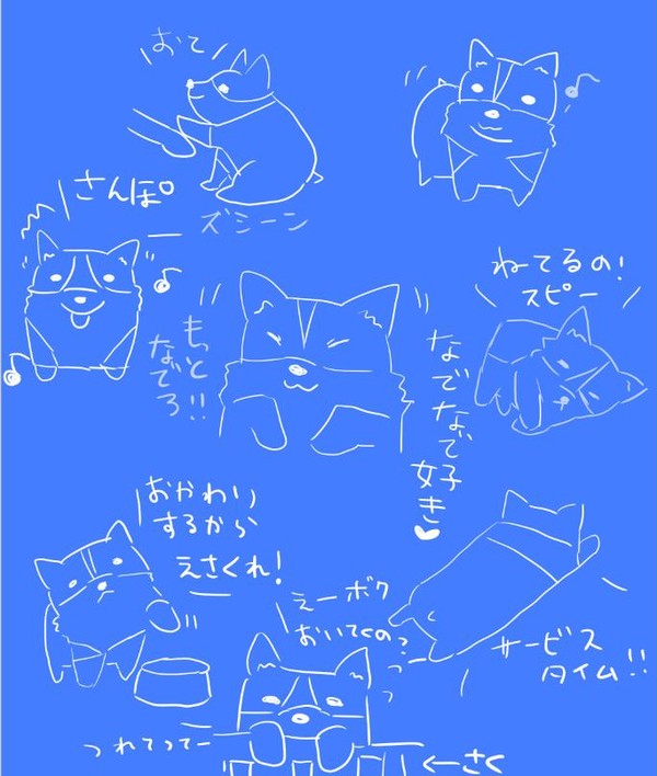こーぎーとかその他