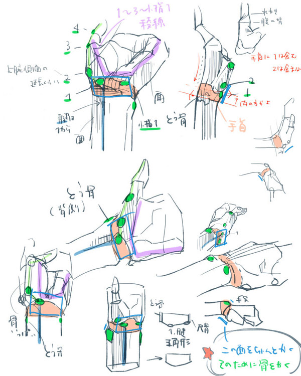 メモ_手首~上腕