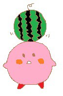 スイカ