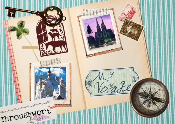 My Voyage