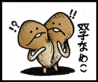【双子なめこ】
