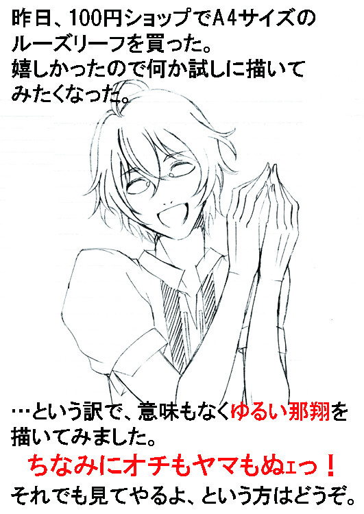所詮はルーズリーフクオリティ