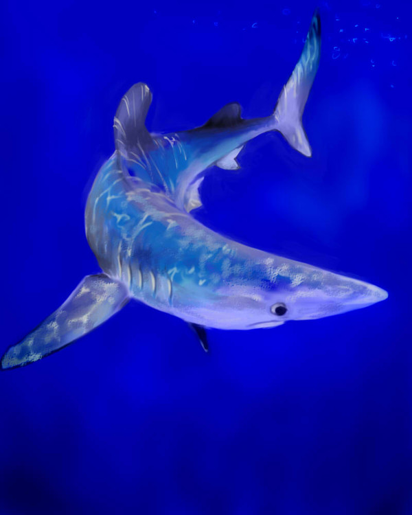 ヨシキリ