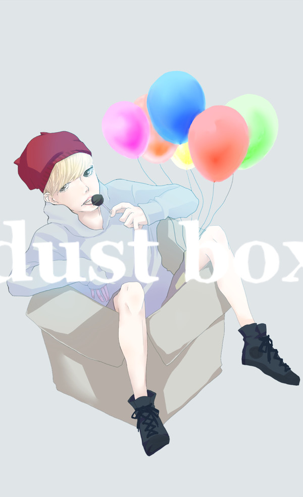 dust box