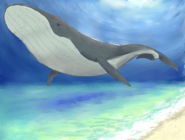 くじら