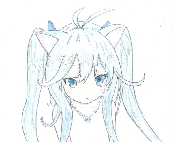 エリオ、猫耳始めました。