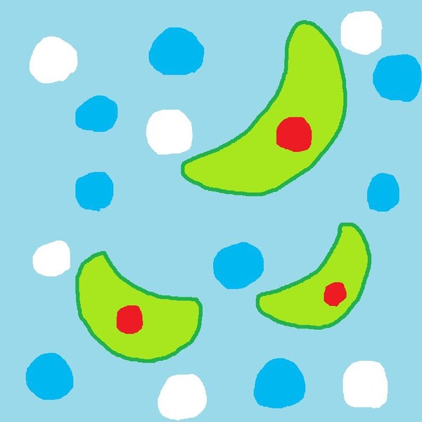 ミカヅキモ