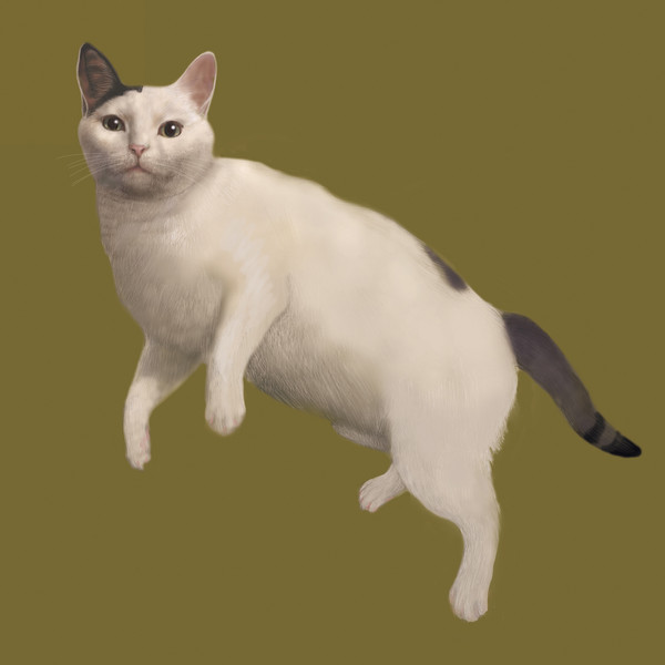 ねこさん