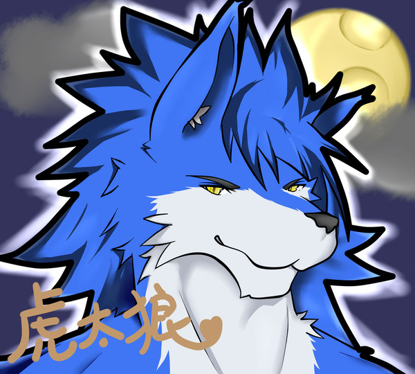 狼