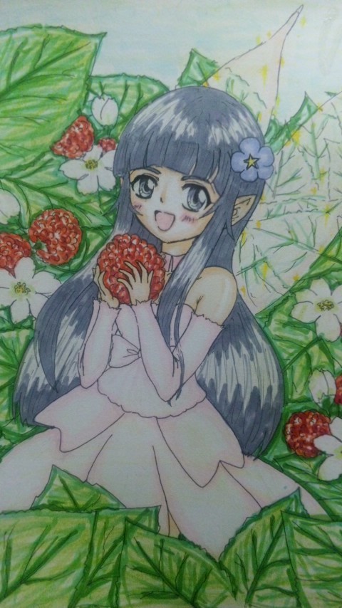 木苺♪