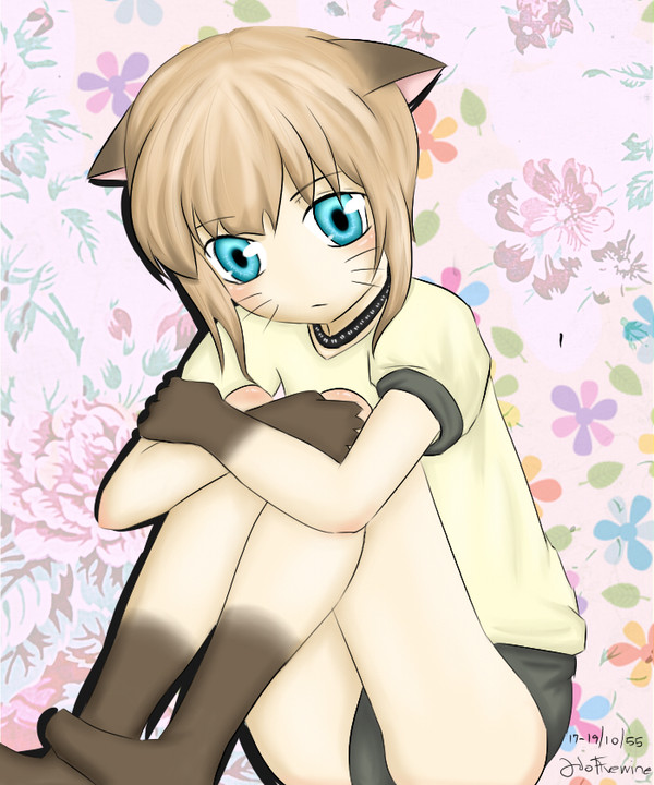 Pudding Cat :3
