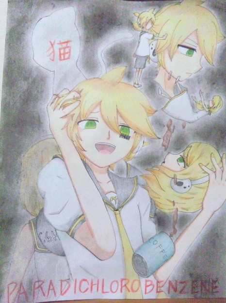 狂いましょう 眠りましょう