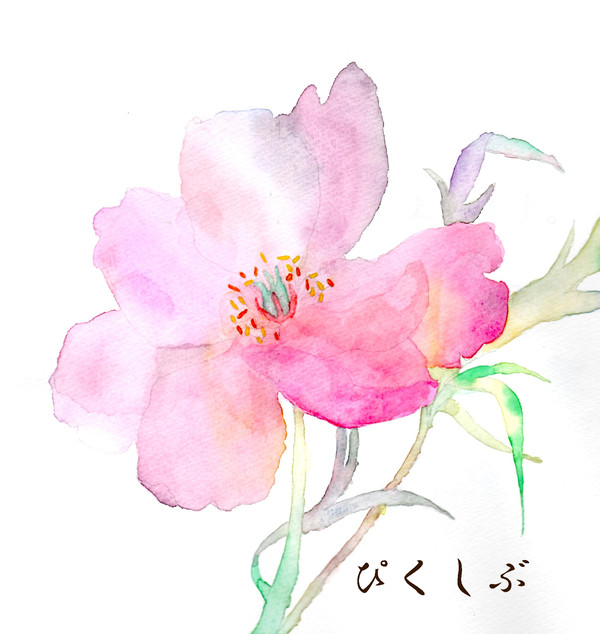 アイコン