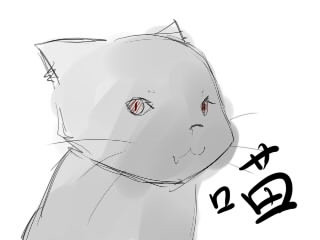 喵