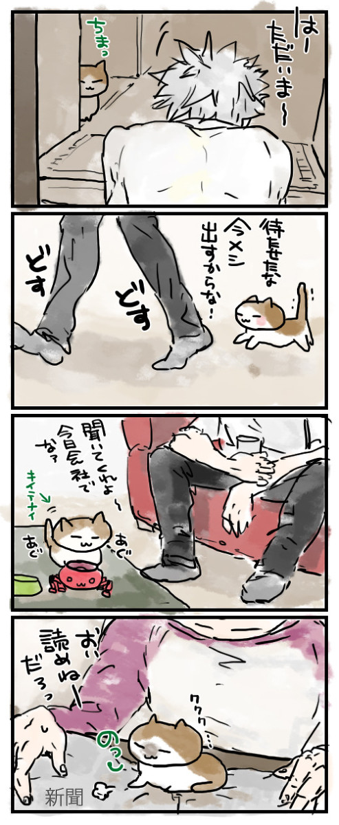 州=ΦωΦ)(Φω▼=) ねこうち！