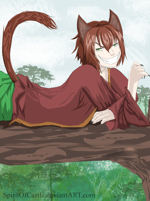 Cute cat