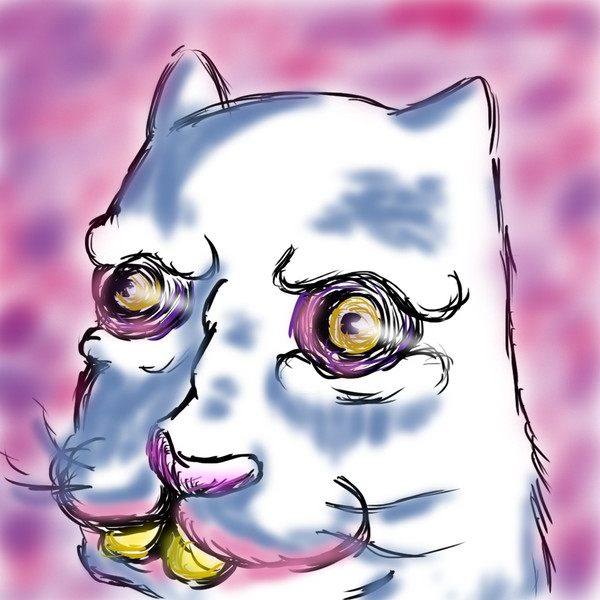 子猫ちゃん