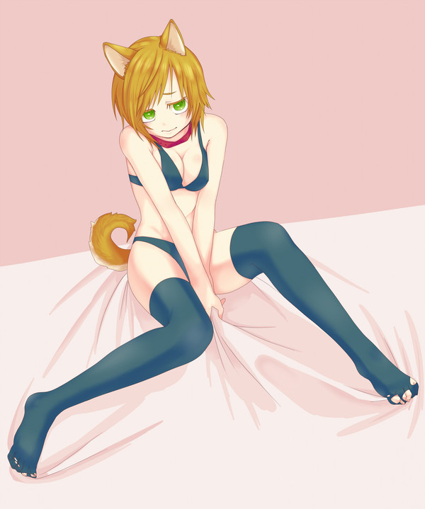 いぬみみ娘
