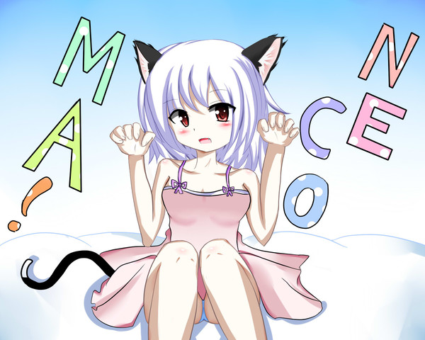 ねこまんま