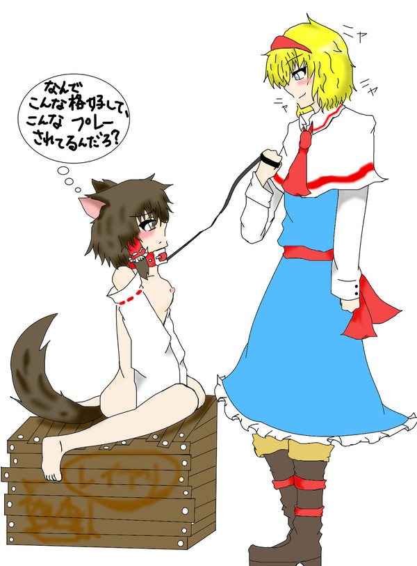 霊夢に首輪をつけたかっただけなんだ・・・