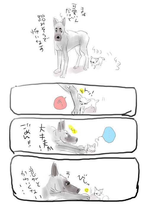 わんしゃふ6と8