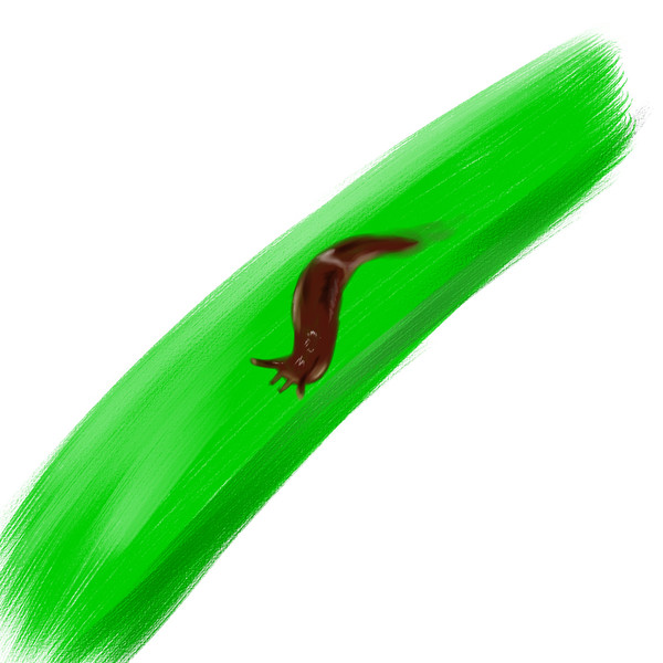 ナメクジ