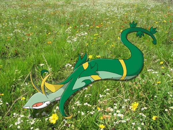 あ！ やせいのジャローダが くさむらから とびだしてきた！
