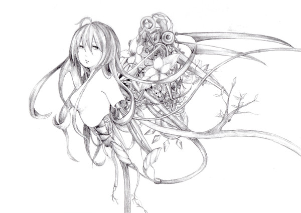 現象の花