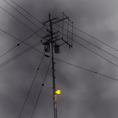 電柱